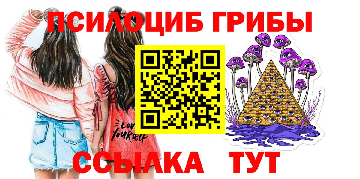 Псилоцибиновые грибы мицелий Тихвин