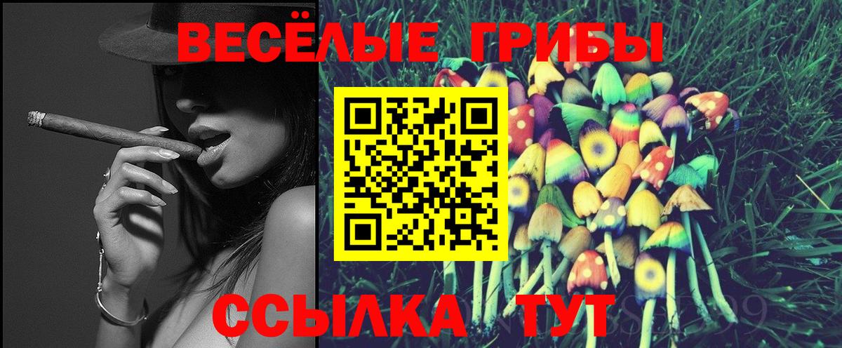 Псилоцибиновые грибы мицелий  Вход с VPN  Тихвин  Псилоцибиновые грибы мицелий 